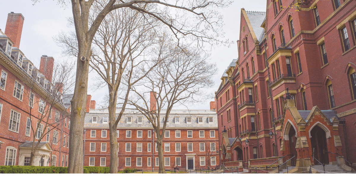 Are Ivy League Schools Worth It?