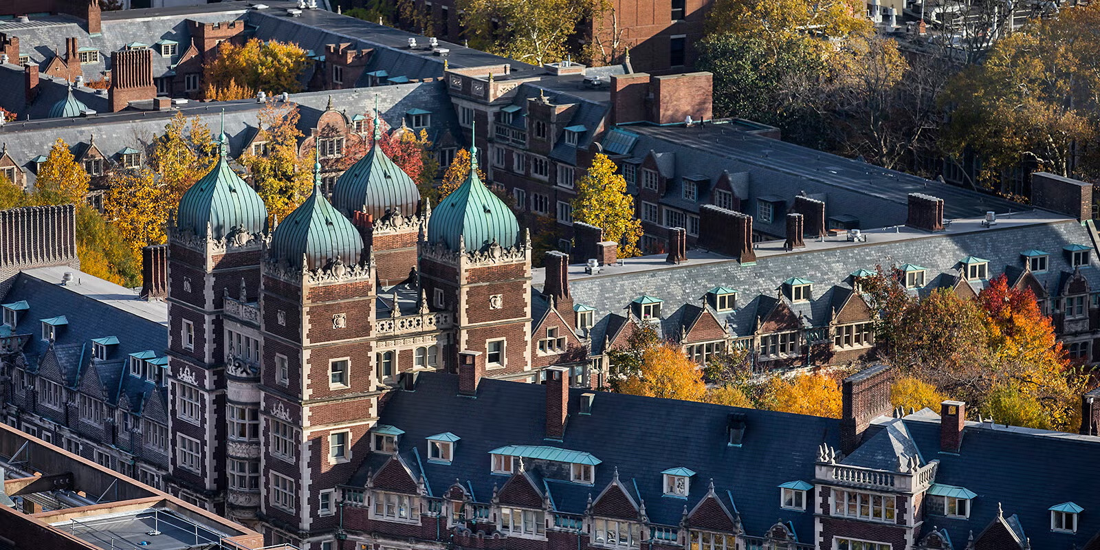 Read more about the article How to Get Into the University of Pennsylvania as a Transfer Student